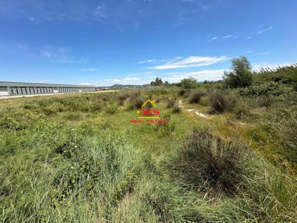 Vlore, shitet toke , 10.000 m² 250.000 € (Novosel)