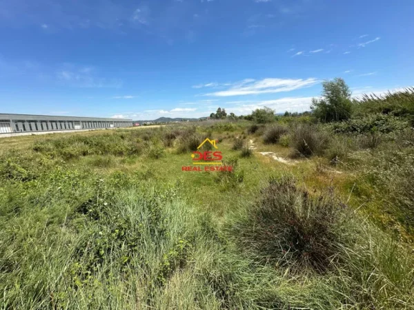 Vlore, shitet toke , 10.000 m² 250.000 € (Novosel)