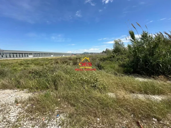 Vlore, shitet toke , 10.000 m² 250.000 € (Novosel)