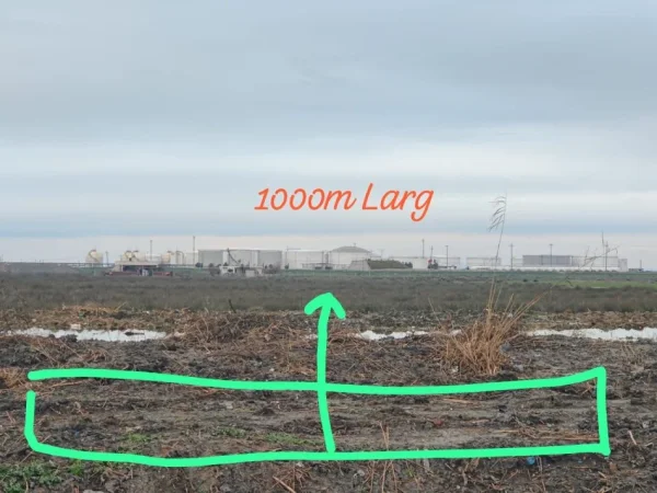 Durres, shitet toke , 4.000 m² (Portoromano , spitalle)