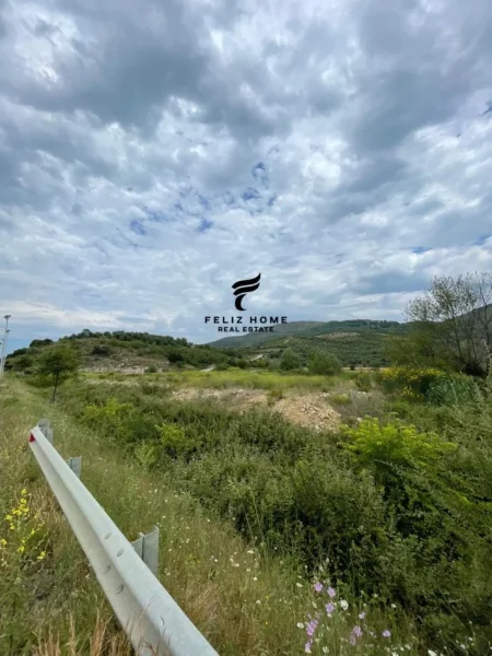 Gjirokaster, shitet toke , 4.000 m² 200.000 € (POCEM)