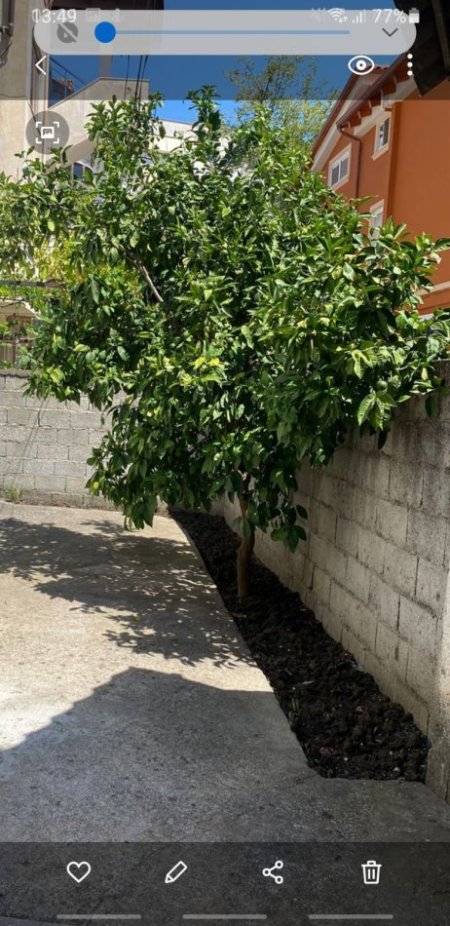 Tirane, jepet me qera shtepi 1 Katshe Kati 0, 112 m² 450 € (Ali Visha)