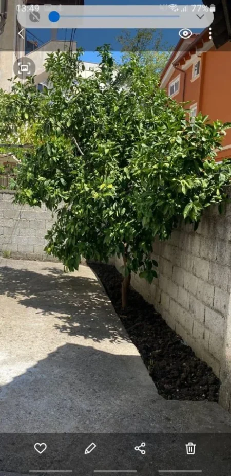 Tirane, jepet me qera shtepi 1 Katshe Kati 0, 112 m² 450 € (Ali Visha)