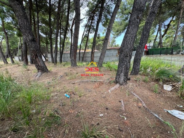 Vlore, shitet truall , 282 m² 210.000 € (Rruga Sazani)