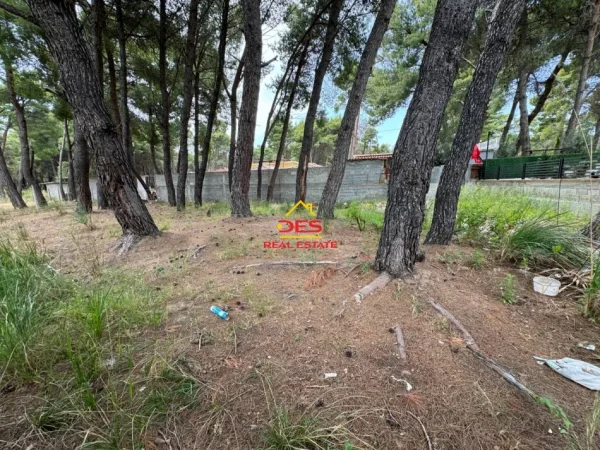 Vlore, shitet truall , 282 m² 210.000 € (Rruga Sazani)