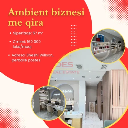 Jepet me qira ambient biznesi, Sheshi Willson!