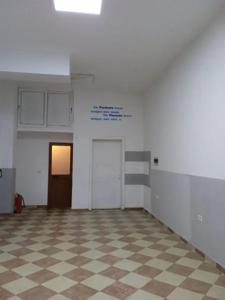 SHITET, AMBIENT BIZNESI, RRUGA FROSINA PLAKU, TIRANË, 85,.000 EURO