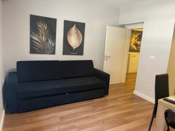 Tirane, jepet me qera apartament 1+1 550 Euro