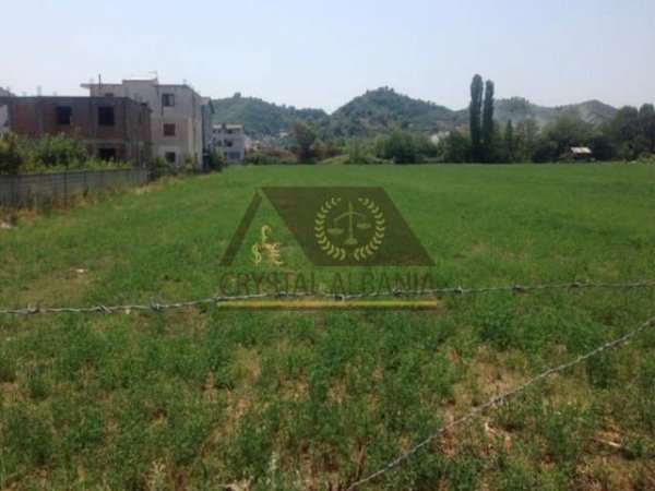 Tirane, shes truall 3.000 m² 135 Euro/m2 (Kashar)