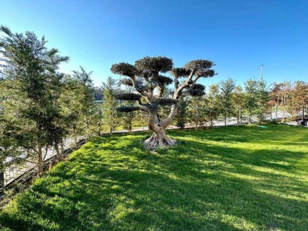 Tirane, jepet me qera apartament 3+1+2+2 Post Parkimi Kati 1, 150 m² 4.000 € (TEG)