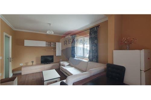 Tirane, jepet me qera apartament 1+1 , 50 m² 450 € (Libri Universitar, Shqipëri)