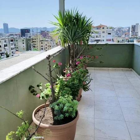 Tirane, jepet me qera 1+1+Aneks+Ballkon Kati 6, 85 m² 400 € (SPITALI QSUT)