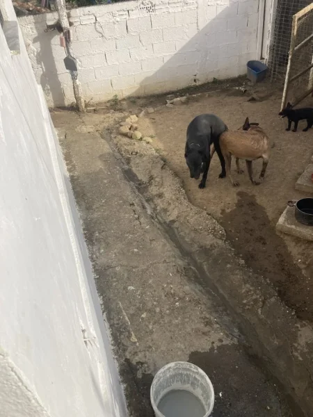 Kavaje, okazion Shitet 150 €