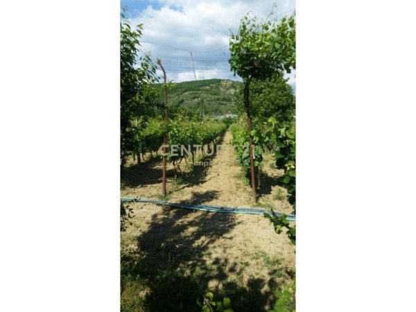 Tirane, shitet toke , 2.100 m² 63.000 € (BADUSHK)