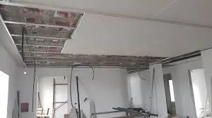 Ofrojmë punime gipsi dhe lyerje.