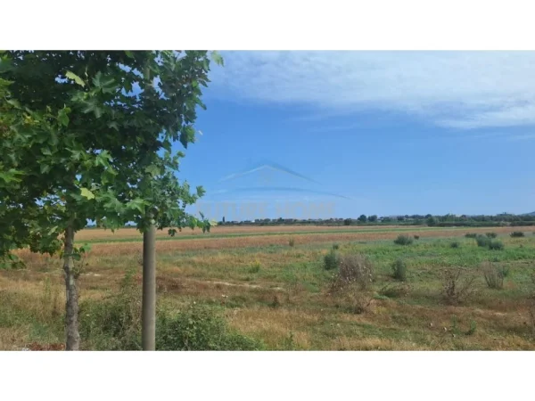 Vlore, shitet toke , 36.750 € (Novosele, Shqiperi)