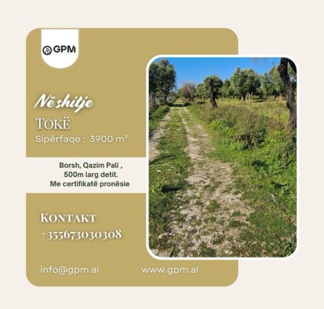 Vlore, shitet toke , 3.900 m² (Borsh)