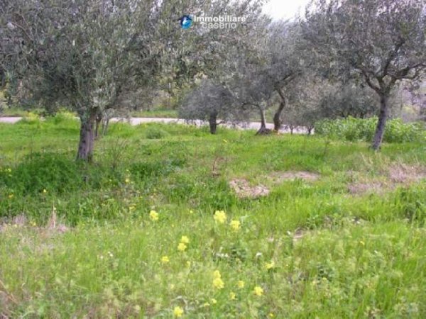 Vlore, shes toke 500 m² 7.200 Euro (Delisuf)