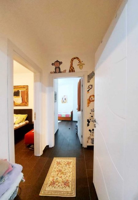 Tirane, jepet me qera apartament 2+1+BLK Kati 1, 75 m² 650 Euro (sami frasheri)