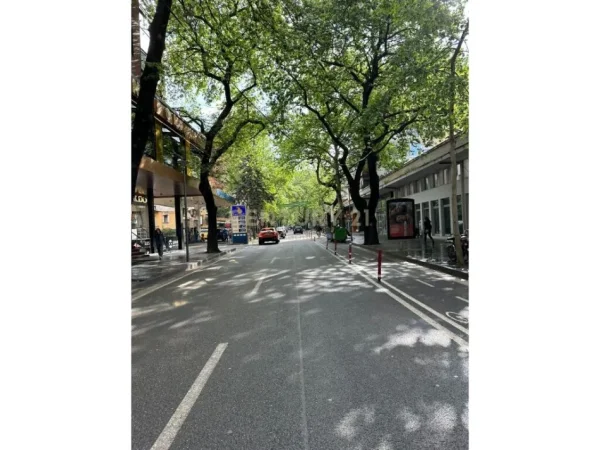 Tirane, jepet me qera ambjent biznesi Kati 1, 18 m² 600 € (myslym shyri)
