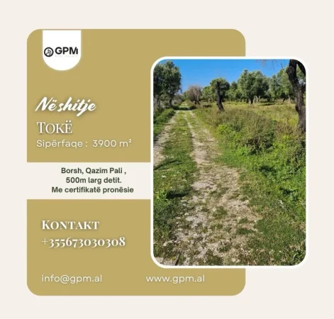 Dhermi - Palase, shes toke , 3.900 m² (Livadh)