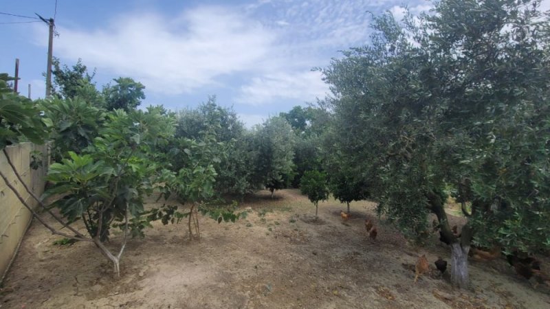 Durres, shitet truall , 324 m² 72.000 € (Shume prane rruges kryesore Aleksander Goga.)