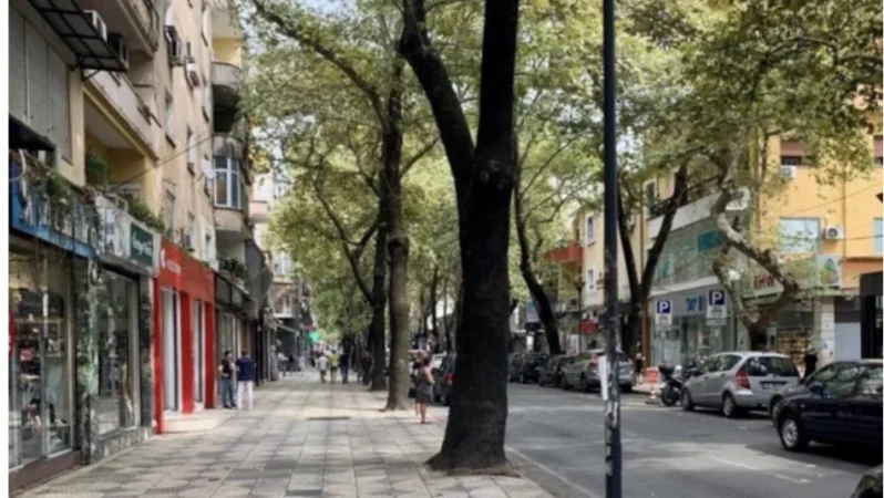 Tirane, jepet me qera ambjent biznesi Kati 2, 100 m² 1.000 € (Myslym Shyri)