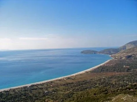 Dhermi - Palase, shitet toke , 8.000 m² (Palase, Vlore)
