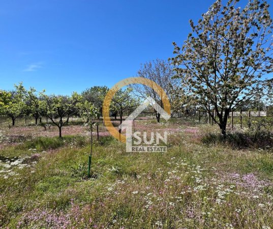 Shkoder, shitet shtepi 2+1 Kati 0, 1.948 m² 99.900 € (HOT I RI)