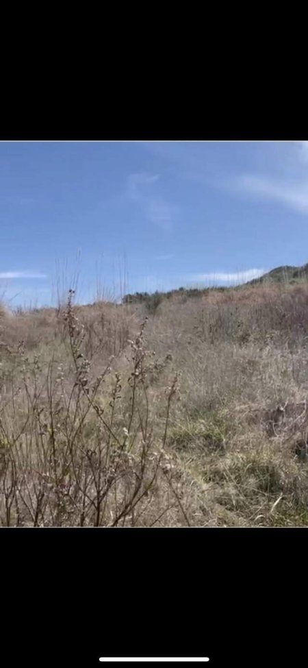 Plazhi i Gjeneralit, shes toke ne bregdet 4.000 m² 55 Euro/m2