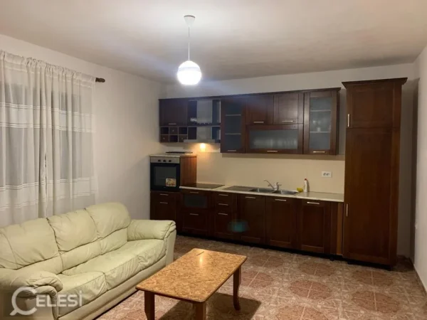 Tirane, jepet me qera Vile 1+1 Kati 1, 90 m² 300 € (Jepet Me Qera Kat Vile Prane Stacionit te Trenit)