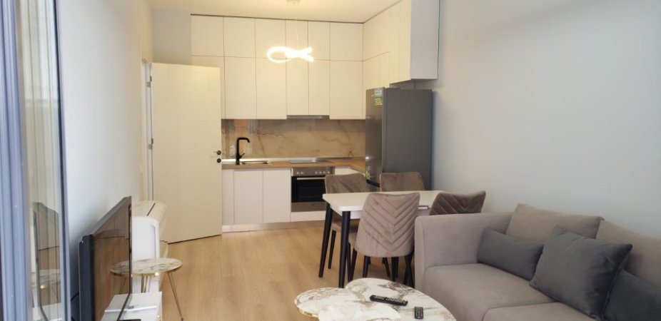 Tirane, jepet me qera apartament 1+1 Kati 7, 65 m² 500 € (Xhamllik)