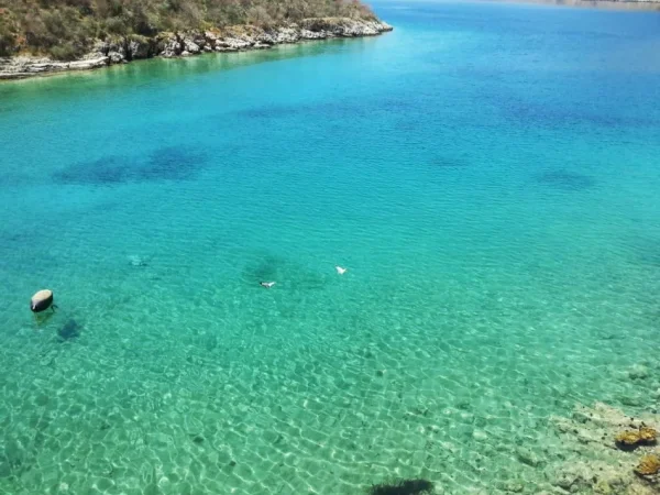 Borsh, shes toke ne bregdet 3200-900-990 m² cmimi nga 169 Euro/m2 (Borsh)