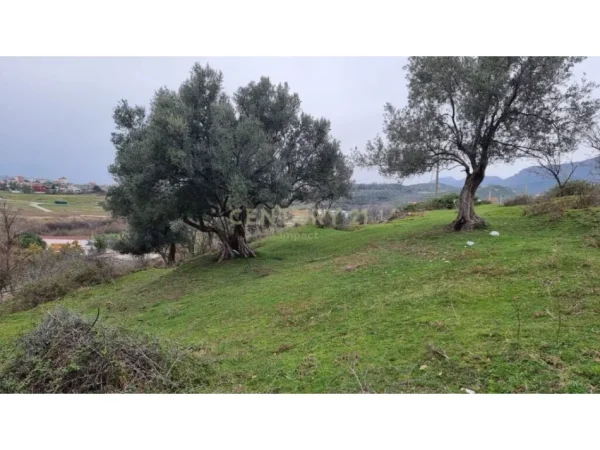 Tirane, shes toke , 3.800 m² 589.000 € (FARKE E MADHE)