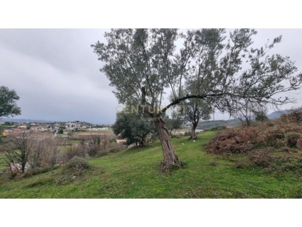 Tirane, shitet toke , 3.800 m² 589.000 € (FARKE E MADHE)