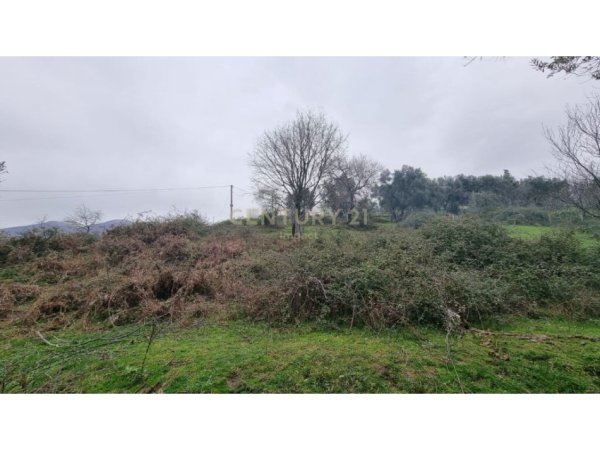 Tirane, shitet toke , 3.800 m² 589.000 € (FARKE E MADHE)