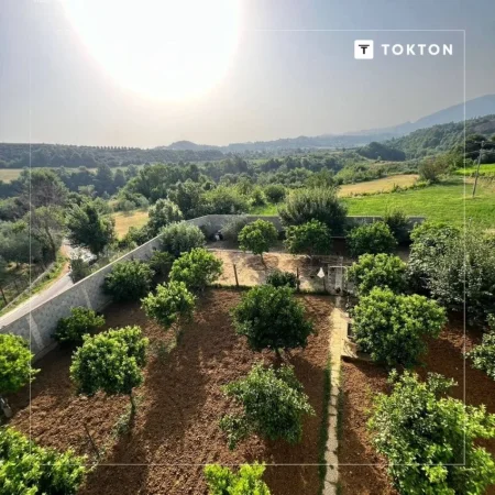Tirane, jepet me qera shtepi 3+1 Kati 2, 360 m² 2.500 € (Adresa: Daias, Gurrë e Vogël, Tiranë.)