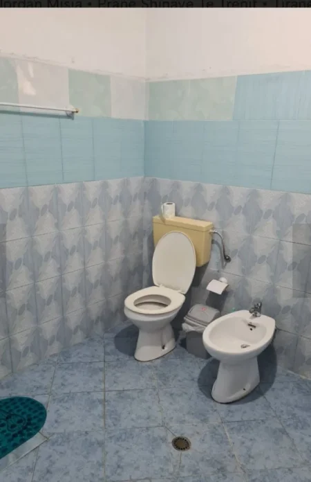 Tirane, jepet me qera apartament 2+1 Kati 1, 80 m² 300 € (Stacioni Trenit)