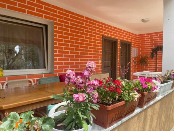 Jepen me qera javore, mujore apartamente pjese te viles!