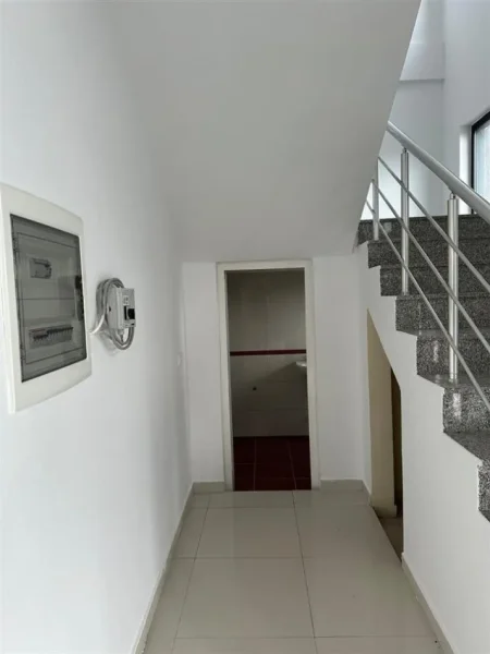 Tirane, jepet me qera magazine Kati 0, 1.500 m² 2.500 € (Afer Megatekut)