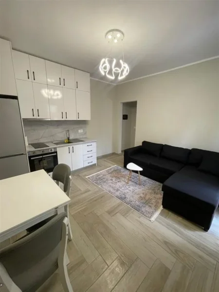 Tirane, jepet me qera apartament 1+1 Kati 1, 58 m² 400 € (KINOSTUDIO)