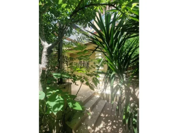 Tirane, shes Vile 1 Katshe Kati 1, 326 m² 630.000 € (21 DHJETORI)