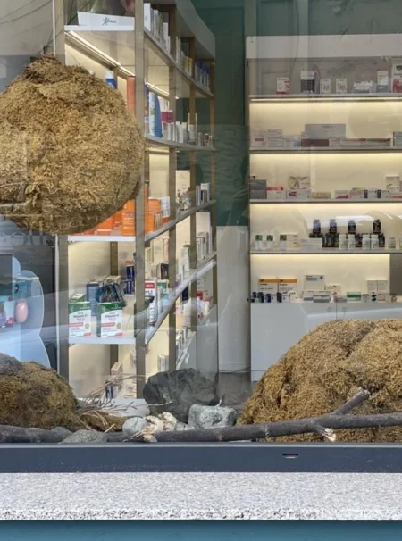 Tirane, shitet ambjent biznesi Kati 0, 37 m² 30.000 € (Rruga Mihal Duri)