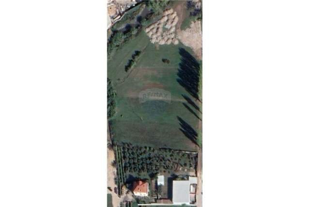 Tirane, jepet me qera toke 3.000 m² 1 Euro/m2 (Mezez)