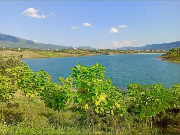 Tirane, shitet toke , 15.000 m² 1.800.000 € (Farke)