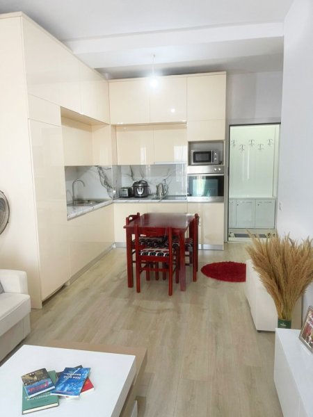 Tirane, jepet me qera apartament 1+1 Kati 8, 65 m² 500 € (Frosina Plaku)