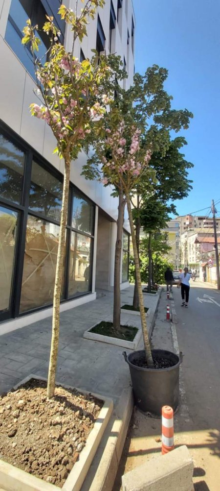 Tirane, jap me qera ambjent biznesi Kati 0, 170 m² 1.400 Euro (Rruga Nikolla Lena)
