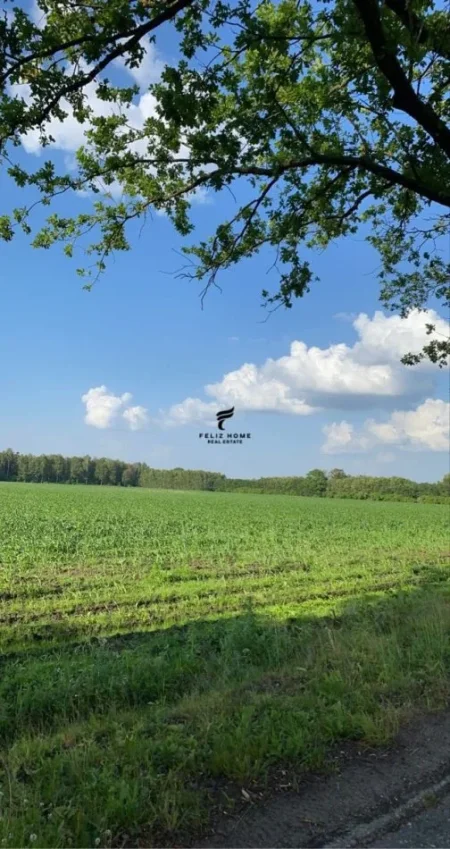 Durres, shitet truall , 5.000 m² 500.000 € (DURRES)