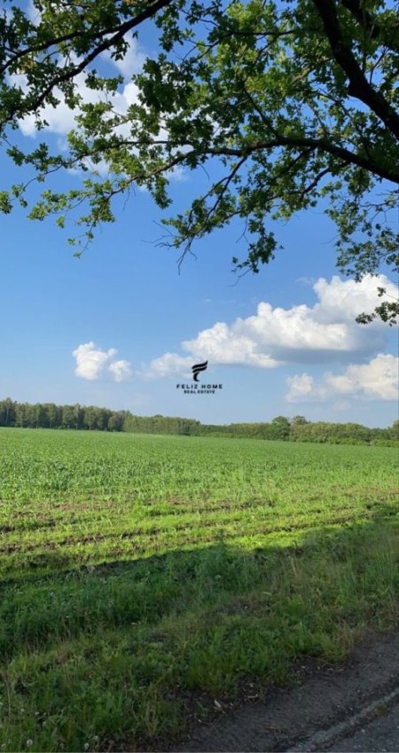 Durres, shitet truall , 5.000 m² 500.000 € (DURRES)