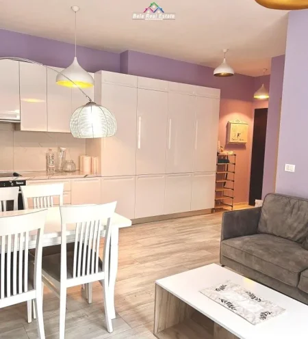 Tirane, jepet me qera apartament 1+1 Kati 2, 70 m² 450 € (Rruga Selita e Vjetër)